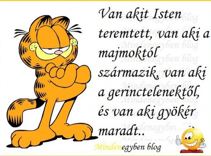 Van akit Isten teremtett, van aki a majmoktól származik, van aki a gerinctelenektől, és van aki gyökér maradt