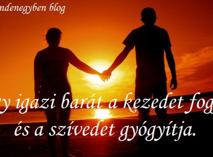 Egy igazi barát a kezedet fogja,és a szívedet gyógyítja.