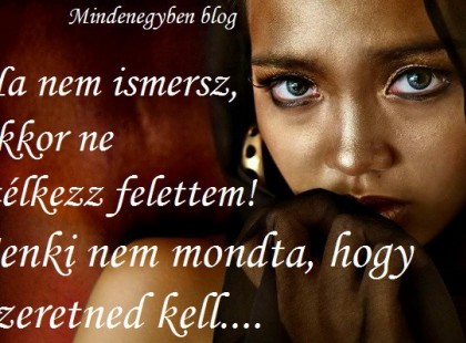 Ha nem ismersz, akkor ne ítélkezz felettem! Senki nem mondta, hogy szeretned kell..