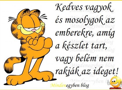 Kedves vagyok és mosolygok az emberekre, amíg a készlet tart, vagy belém nem rakják az ideget!