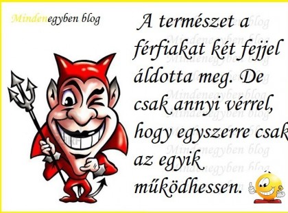 A természet a férfiakat két fejjel áldotta meg. De csak annyi vérrel, hogy egyszerre csak az egyik működhessen.