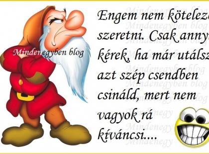 Engem nem kötelező szeretni. Csak annyit kérek....