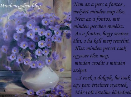 Nem az a perc a fontos , melyért minden nap élsz. Nem az a fontos, mit minden percben remélsz.