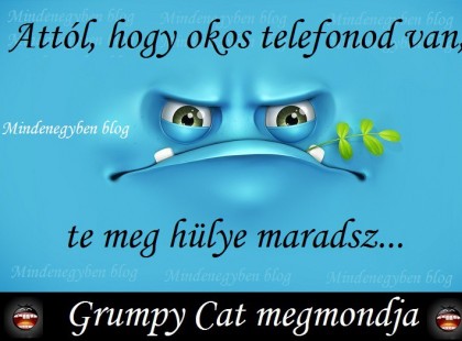 attól, hogy okos telefonod van, te meg hülye maradsz...