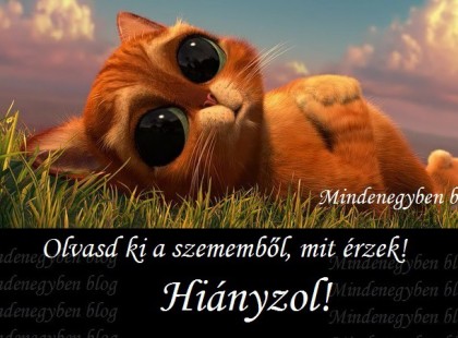 Olvasd ki a szememből, mit érzek!...Hiányzol!