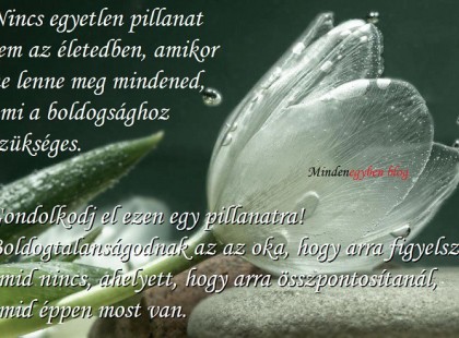 Nincs egyetlen pillanat sem az életedben, amikor ne lenne meg mindened, ami a boldogsághoz szükséges. Gondolkodj el ezen egy pillanatra!