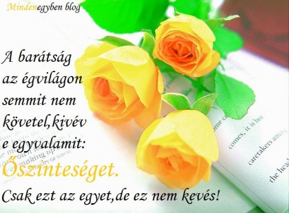 A barátság az égvilágon semmit nem követel,kivéve egyvalamit...