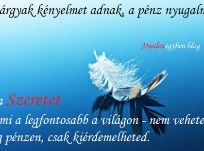 A tárgyak kényelmet adnak, a pénz nyugalmat, de a Szeretet - ami a legfontosabb a világon - nem veheted meg pénzen, csak kiérdemelheted.