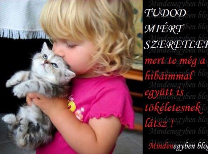 TUDOD MIÉRT SZERETLEK ? mert te még a hibáimmal együtt is tökéletesnek látsz !