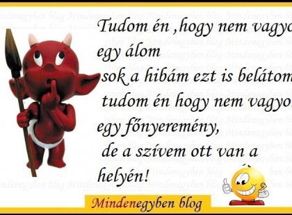 Tudom én ,hogy nem vagyok egy álom sok a hibám ezt is belátom, tudom én hogy nem vagyok egy főnyeremény, de a szívem ott van a helyén!