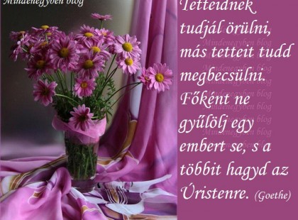 Tetteidnek tudjál örülni, más tetteit tudd megbecsülni.....