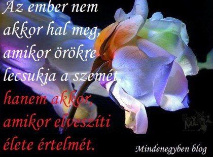 Az ember nem akkor hal meg, amikor örökre lecsukja a szemét, hanem akkor, amikor elveszíti élete értelmét.