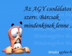 Az AGY csodálatos szerv. Bárcsak mindenkinek lenne ...