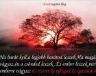 Ha barát kell,a legjobb barátod leszek.Ha magányra vágysz,én a csönded leszek .És ember leszek,mert emberre vágysz:Ki szeret,ki elfogad,ki igaznak lát!