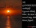 NE GONDOLKOZZ, cselekedj! Egyszer élünk, és lehet, ha most nem teszed meg, örökké bánni fogod