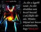 Az élet a legjobb tanár. Az élet általában nem beszél hozzád. Csak lökdös ide- oda. Minden lökéssel azt hozza a tudomásodra, hogy ébredj fel!