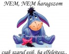 NEM, NEM haragszom csak szarul esik, ha elfelejtesz..