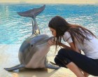 Delfin puszi
