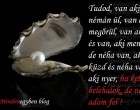 Tudod, van aki némán ül, van aki megőrül, van aki tűr és van, aki menekül - de néha van, aki küzd és néha van, aki nyer, ha kell belehalok, de nem adom fel