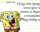 Élj úgy mint Spongyabob: nevess egész nap a semmin, és idegesítsd a rosszakaróidat, hogy boldog vagy!