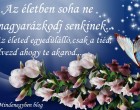 ...Az életben soha ne magyarázkodj senkinek...A barátaidnak nincs szüksége rá,az ellenségeid úgyse hiszik el....A te saját életedben jogod van döntéseket hozni,mi az amit tenned vagy mondanod kell,akkor és úgy ahogy te akarod....Ha elrontod szerzel egy rossz tapasztalatot,ha pedig jól döntesz élvezheted....A lényeg,hogy sose add fel önmagad,hogy másoknak megfelelj....Az életed egyedülálló,csak a tiéd,élvezd ahogy te akarod....