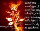 Tanulj meg mosolyogni. A mosolyban mágikus erő rejlik. Amíg az ember mosolyogni tud, addig képes a további harcra. És aki harcol, az győzhet is.