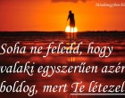 Soha ne feledd, hogy valaki egyszerűen azért boldog, mert Te létezel.