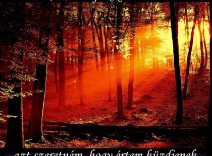 NEM FOGOK küzdeni már, azt szeretném hogy értem küzdjenek.