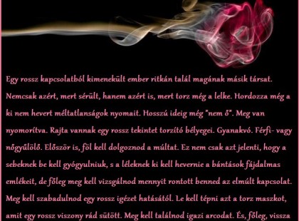 Egy rossz kapcsolatból kimenekült ember ritkán talál magának másik társat...