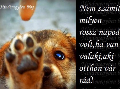 Nem számít milyen rosszz napod volt,ha van valaki,aki otthon vár rád