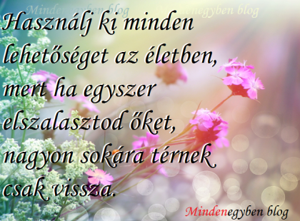 Használj ki minden lehetőséget az életben, mert ha egyszer elszalasztod őket, nagyon sokára térnek csak vissza.