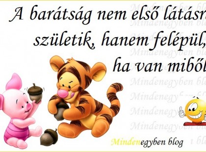 A barátság nem első látásra születik, hanem felépül, ha van miből.