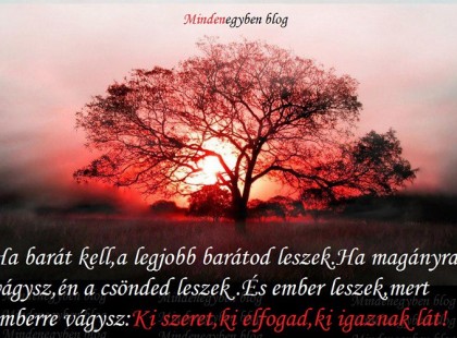 Ha barát kell,a legjobb barátod leszek.Ha magányra vágysz,én a csönded leszek .És ember leszek,mert emberre vágysz:Ki szeret,ki elfogad,ki igaznak lát!