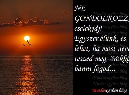 NE GONDOLKOZZ, cselekedj! Egyszer élünk, és lehet, ha most nem teszed meg, örökké bánni fogod