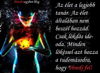 Az élet a legjobb tanár. Az élet általában nem beszél hozzád. Csak lökdös ide- oda. Minden lökéssel azt hozza a tudomásodra, hogy ébredj fel!