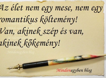 Az élet nem egy mese, nem egy romantikus költemény! Van, akinek szép és van, akinek kőkemény!