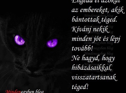 Engedd el azokat az embereket, akik bántottak téged. Kívánj nekik minden jót és lépj tovább! Ne hagyd, hogy hibázásaikkal, visszatartsanak téged!