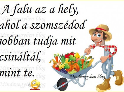 A falu az a hely, ahol a szomszédod jobban tudja mit csináltál, mint te.
