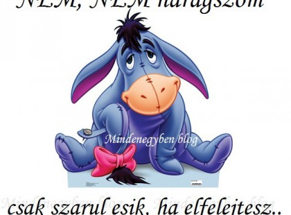 NEM, NEM haragszom csak szarul esik, ha elfelejtesz..