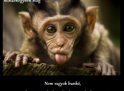 Nem vagyok bunkó, csak nem mindenki érdemli meg a kedvességem