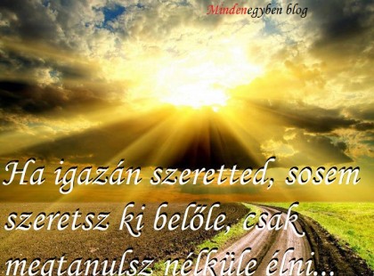 Ha igazán szeretted, sosem szeretsz ki belőle, csak megtanulsz nélküle élni...