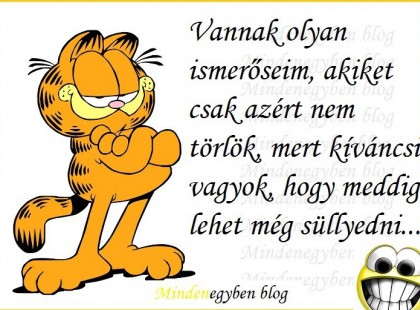 Vannak olyan ismerőseim, akiket csak azért nem törlök, mert kíváncsi vagyok, hogy meddig lehet még süllyedni