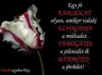 Egy jó kapcsolat olyan, amikor valaki ELFOGADJA a múltadat TÁMOGATJA a jelenedet - BÁTORÍTJA a jövődet!