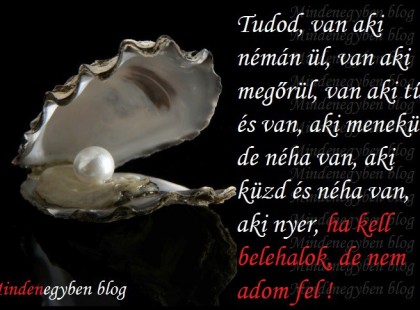 Tudod, van aki némán ül, van aki megőrül, van aki tűr és van, aki menekül - de néha van, aki küzd és néha van, aki nyer, ha kell belehalok, de nem adom fel