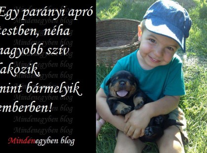 Egy parányi apró testben, néha nagyobb szív lakozik, mint bármelyik emberben!