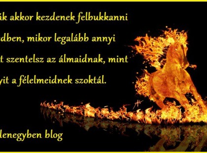 A csodák akkor kezdenek felbukkanni az életedben, mikor legalább annyi energiát szentelsz az álmaidnak, mint amennyit a félelmeidnek szoktál.