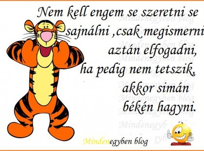 Nem kell engem se szeretni se sajnálni ,csak megismerni aztán elfogadni,ha pedig nem tetszik, akkor simán békén hagyni.