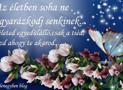 ...Az életben soha ne magyarázkodj senkinek...A barátaidnak nincs szüksége rá,az ellenségeid úgyse hiszik el....A te saját életedben jogod van döntéseket hozni,mi az amit tenned vagy mondanod kell,akkor és úgy ahogy te akarod....Ha elrontod szerzel egy rossz tapasztalatot,ha pedig jól döntesz élvezheted....A lényeg,hogy sose add fel önmagad,hogy másoknak megfelelj....Az életed egyedülálló,csak a tiéd,élvezd ahogy te akarod....