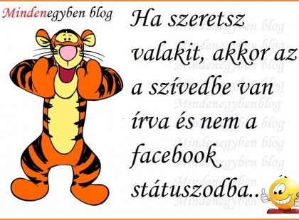 Ha szeretsz valakit, akkor az a szívedbe van írva és nem a facebook státuszodba...
