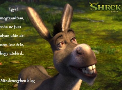 Egyet megtanultam, soha ne fuss olyan után aki nem tesz érte, hogy utolérd..